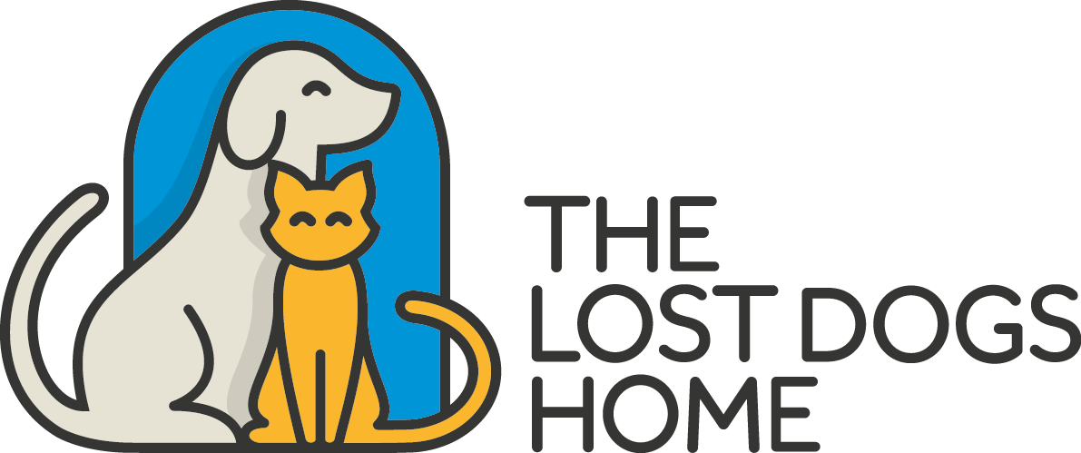 Lost Dogs Home